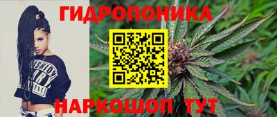 шишки Конаково