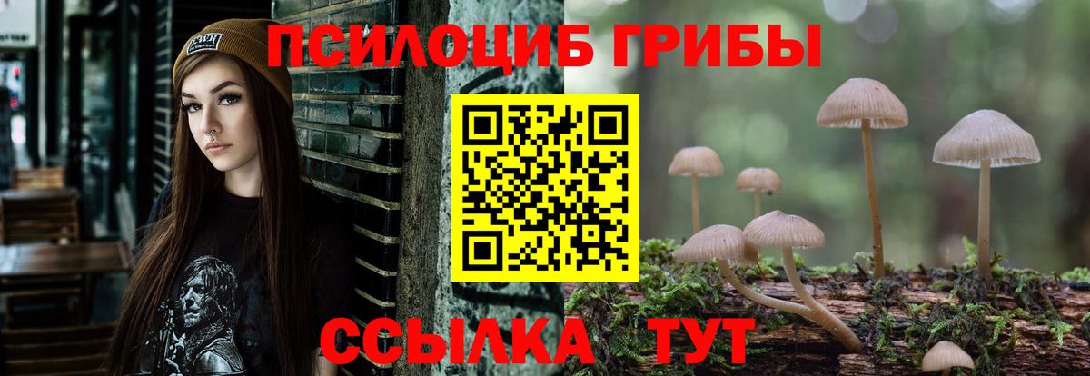 Галлюциногенные грибы Cubensis Рыбинск
